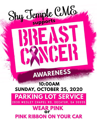 Shy Temple Breast Cancer Awareness Month