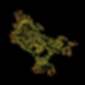 Ratio image