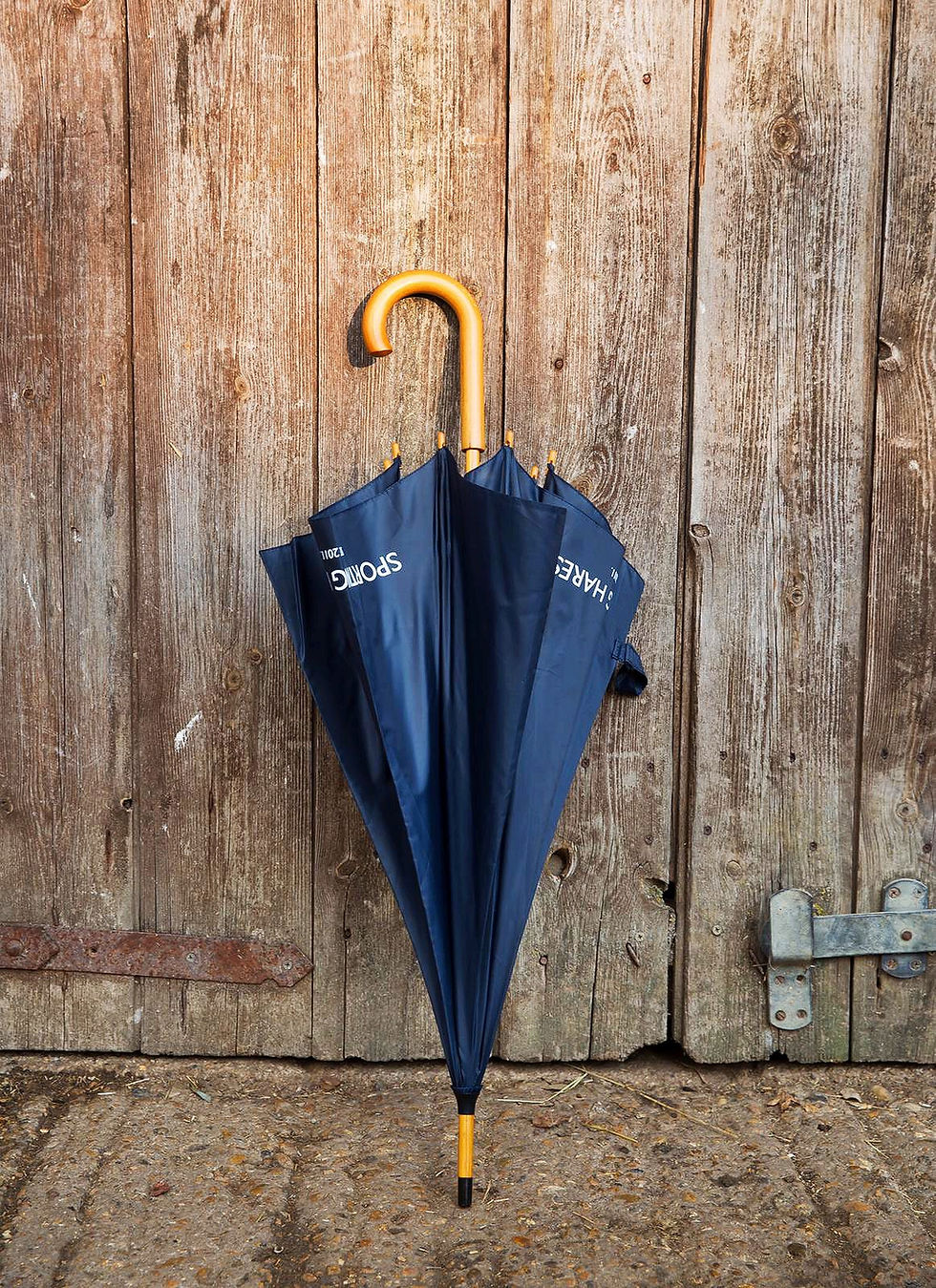 Thumbnail: Signature Umbrella