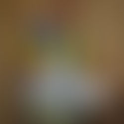 Солодарність народжена війною