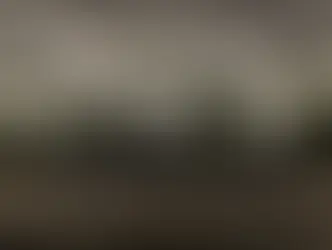 13,000 deaths in 130 years