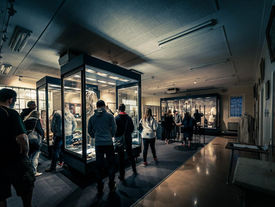 Fascinating History of J Ward Lunatic Asylum