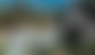 TikTok Star Talks Living With Ghosts in Marilyn Monroe's House