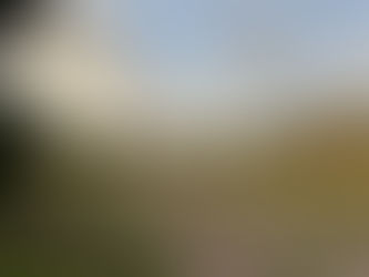 The Point Cook Homestead: A Legacy of Triumph and Tragedy