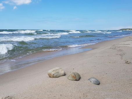 Море каждый день. Своя волна.