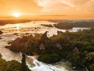From Bwindi to the Mara: An East Africa Safari Guide to Uganda & Kenya