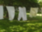 ree