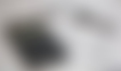 Sept, Oct, Nov & Dec Food budget