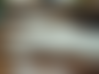 Comprehensive Programs for Learning Latin