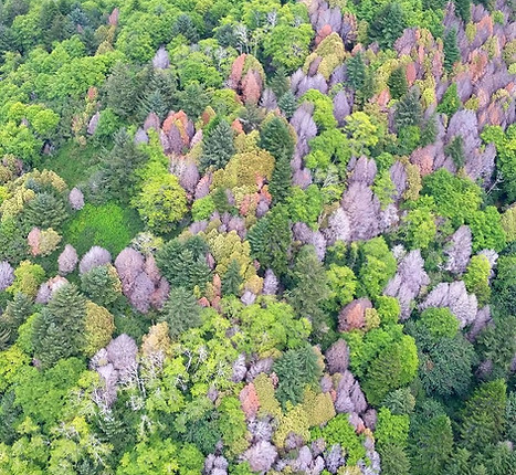 20126441306_03af6a91b1_h_edited_edited.j