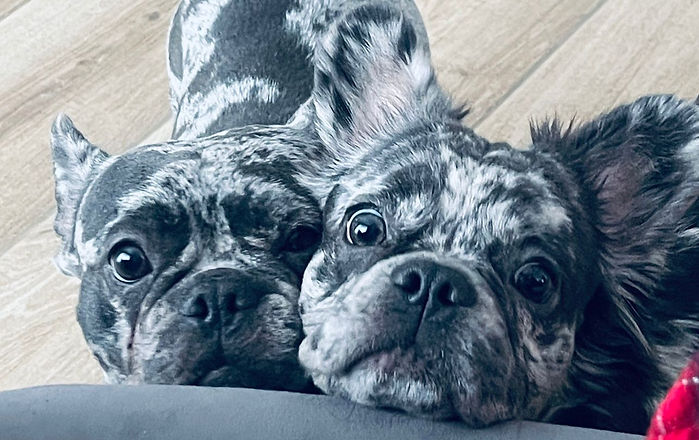 WhatsApp Bild 2023-09-27 um 22.16.05.jpg