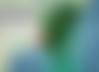 Rain, storms to invade northeastern US on nearly daily basis this week