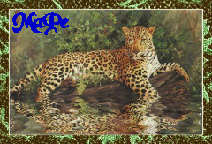 ananaoviu.co_site_designgrafico3