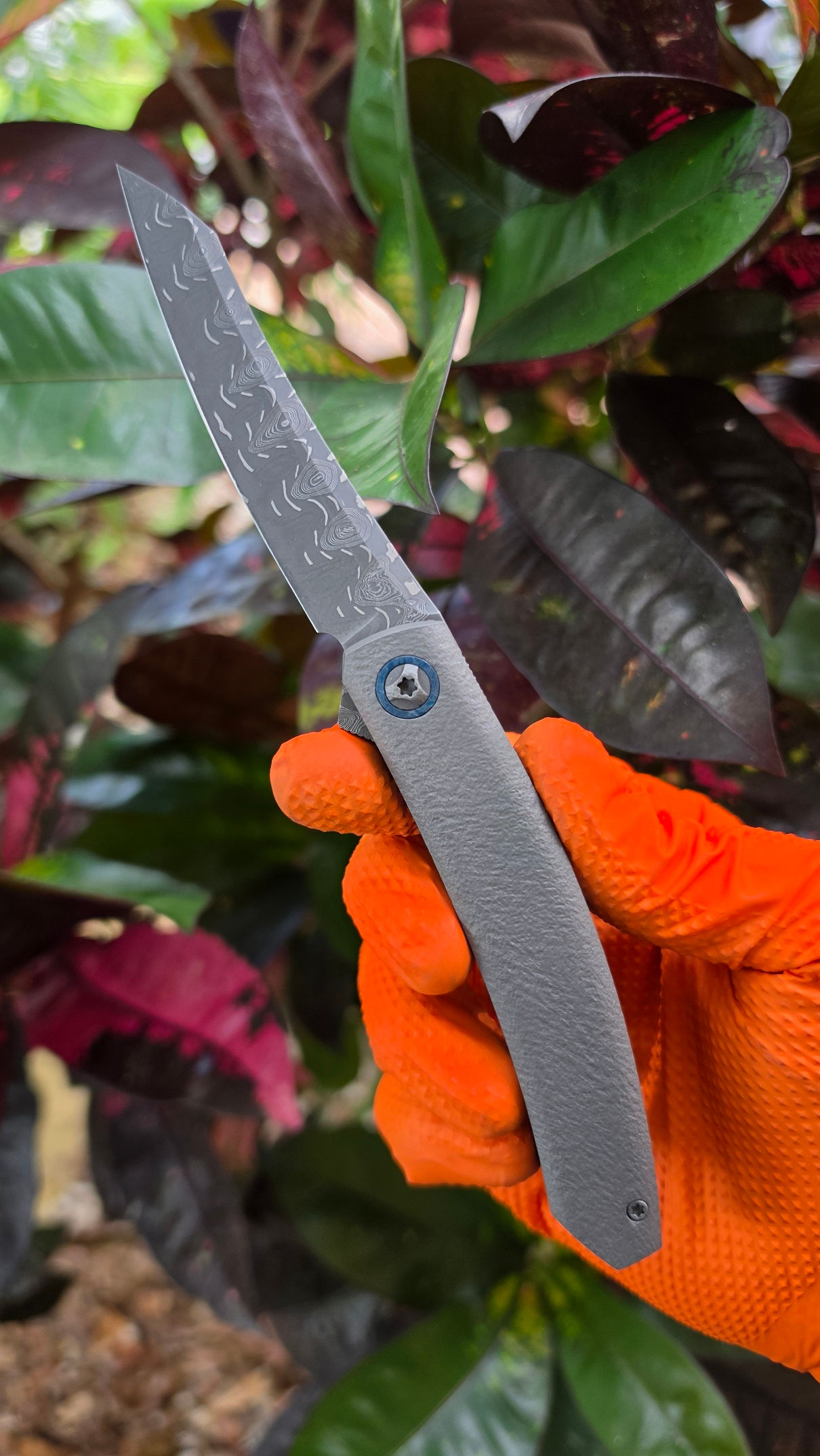 Cobia F -Framelock