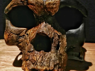 Human origins in Sunda and Sahul.