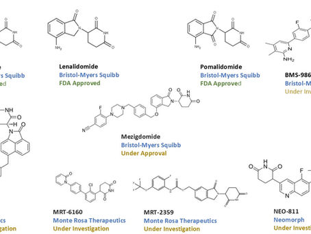 Molecular Glue Degraders (MGDs): A New Era in Drug Discovery