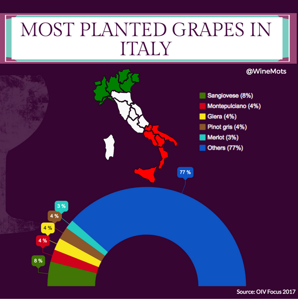 The most planted grapes in Italy