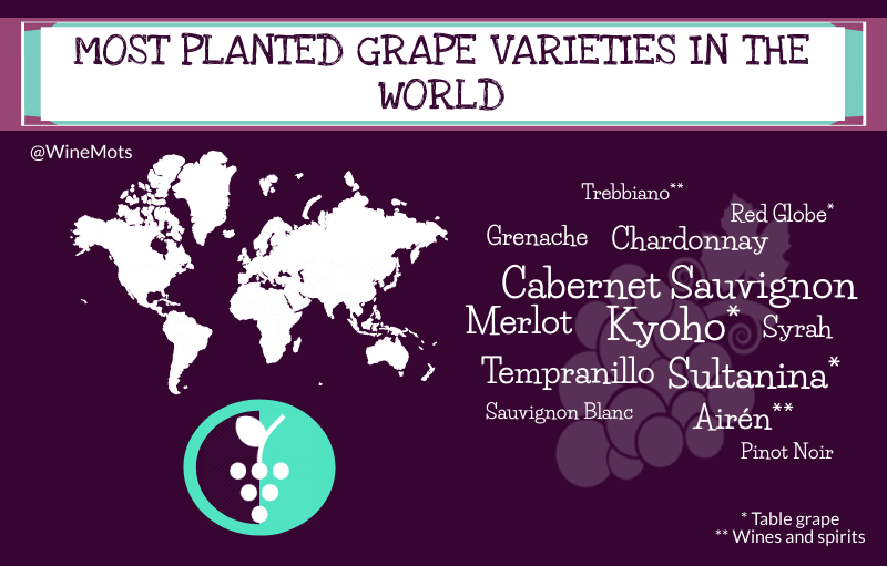 Most planted grape varieties in the world