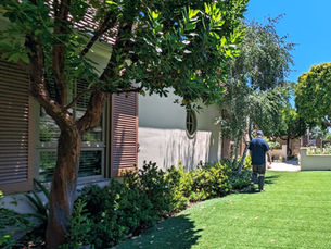 Big trees are particularly susceptible to causing damage during storms