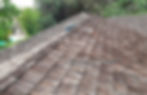 Roofing issues like missing shingles, faulty flashing, or blocked gutters can let water penetrate the structure, causing mold, rot, and insulation damage over time.