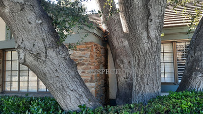 Preventing Foundation Issues through Proper Drainage, Tree Management, and Timely Home Inspections