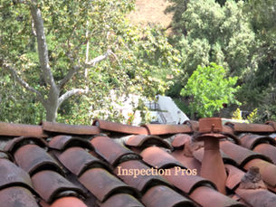 For centuries, clay tiles have protected buildings across the globe, withstanding time, weather, and wear with unmatched elegance.