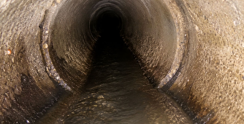 Sewer Inspection Services