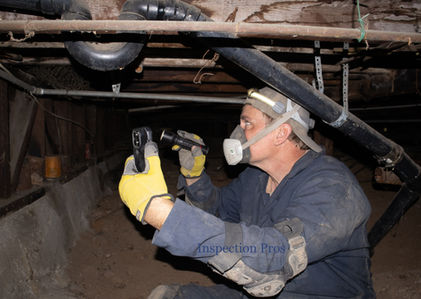 Protect Your Home: The Importance of Regular Crawl Space Inspections for Moisture and Fungal Growth