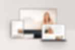 03-idenix-branding-mockup копия.webp