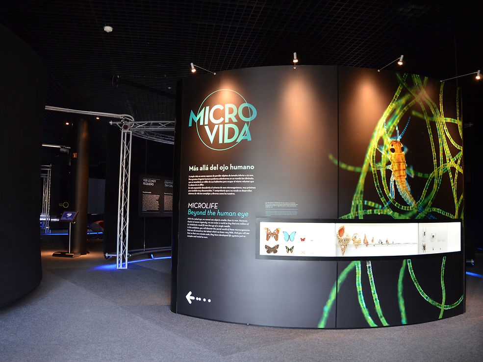766_Microvida_Madrid_001.JPG