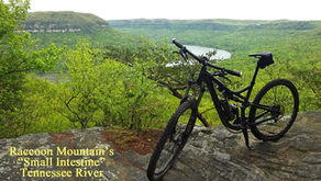 Spring Club Trip to Chattanooga & Knoxville