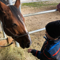 Petite récompense après le tour à cheval