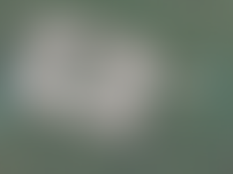 Autorizzazione unica ambientale: AUA