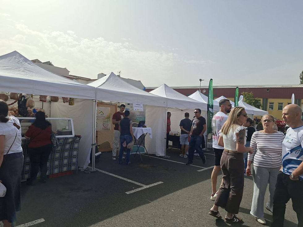 Valsequillo y su Feria de la Papa y el Millo