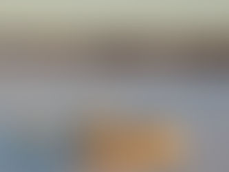 Spring Litters update