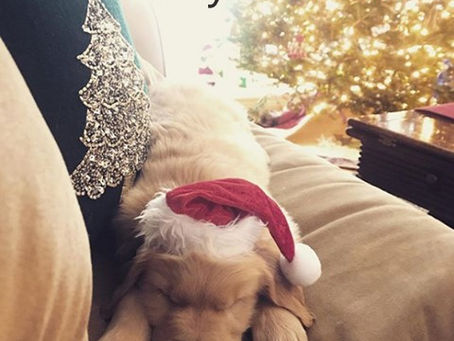 Merry Christmas and Happy New Year to you all.