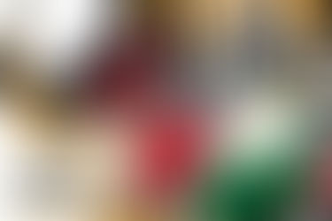 Meet AlphaBRObot, the Literacy Champion!