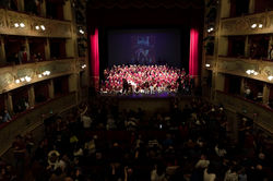 DT5D4245-DT-18012026