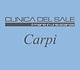 Logo _ Clinica del sale _ Carpi.jpeg