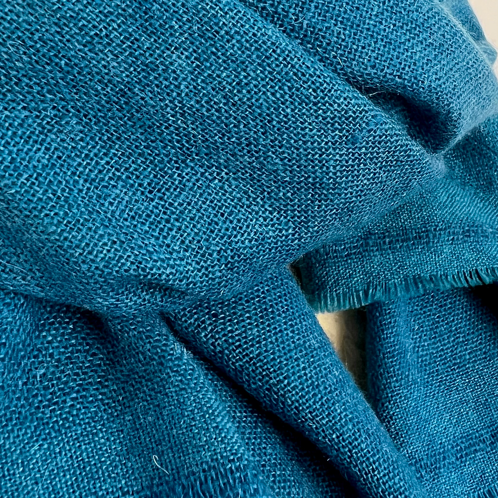 Thumbnail: BLEU CANARD