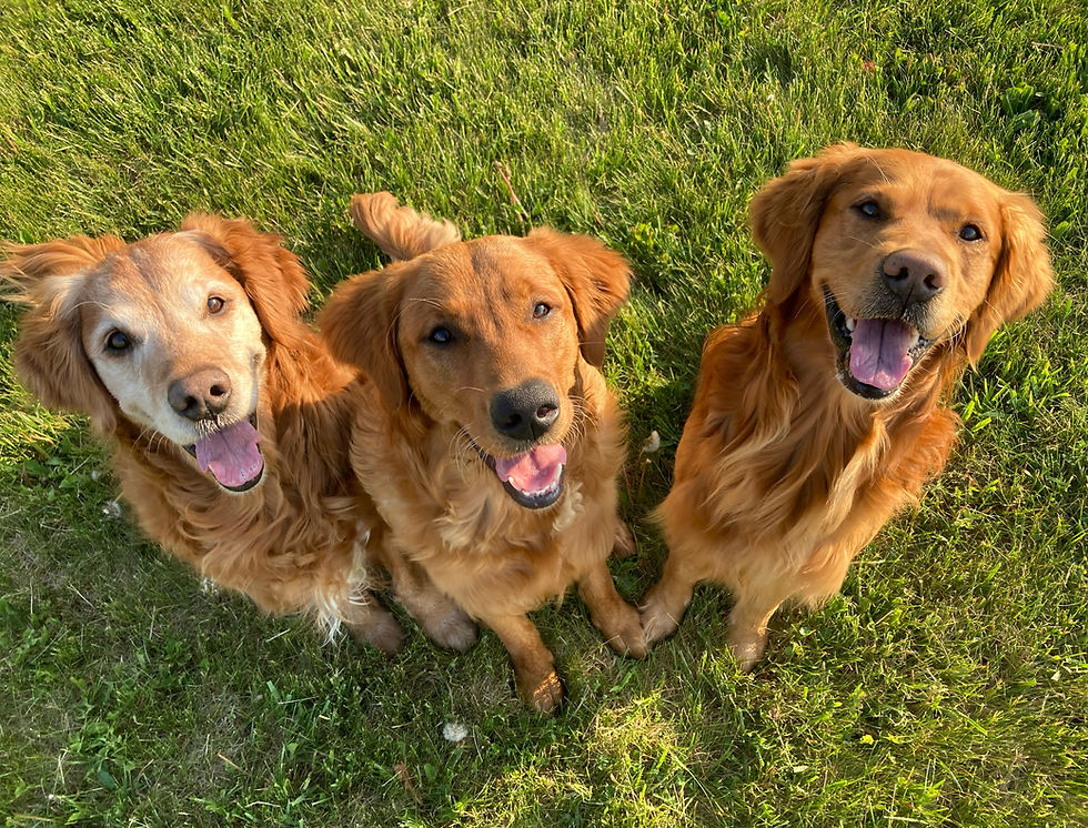 Casey, Keegan, & Rogan.JPG