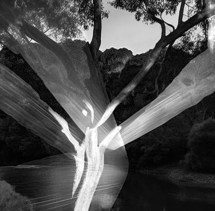 Digital image by Katherine Boland shows ghostly trees wrapped in plastic, blending photos and AI to reflect environmental loss and urgency.