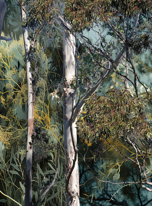 Print by Australian Artist, Katherine Boland depicting the Australian bush.