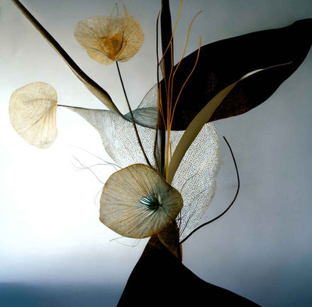 Digital collage by Katherine Boland with abstract plant forms blending burnt wood and textures, reflecting nature’s fragility and strength.