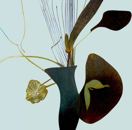Digital collage by Katherine Boland with abstract plant forms blending burnt wood and textures, reflecting nature’s fragility and strength.
