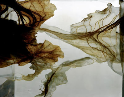 Digital collage by Katherine Boland showing abstract seaweed in an abstract aquarium.