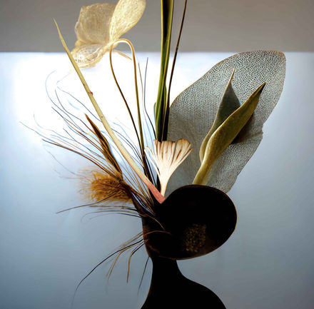 Digital collage by Katherine Boland with abstract plant forms blending burnt wood and textures, reflecting nature’s fragility and strength.