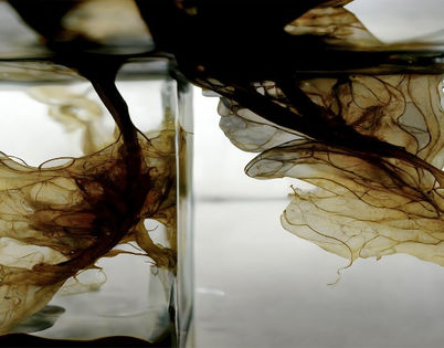 Digital collage by Katherine Boland showing abstract seaweed in an abstract aquarium.