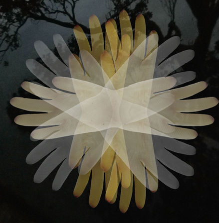 Photograph by Katherine Boland shows rubber gloves as eerie flora in a mangrove, highlighting pollution’s impact on fragile ecosystems.