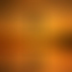 Does Anyone Love Themselves?